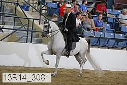 13r14_3081 proof