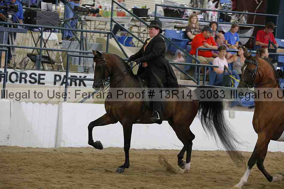 Proof 13r14_3083