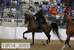 13r14_3083 proof