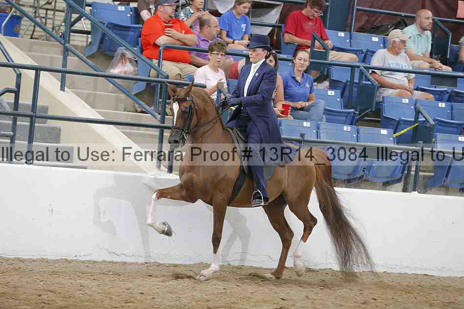 Proof 13r14_3084