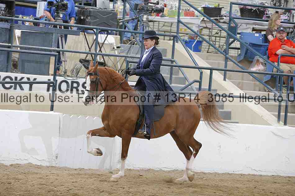 Proof 13r14_3085
