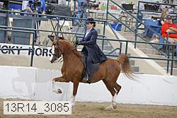 13r14_3085 proof