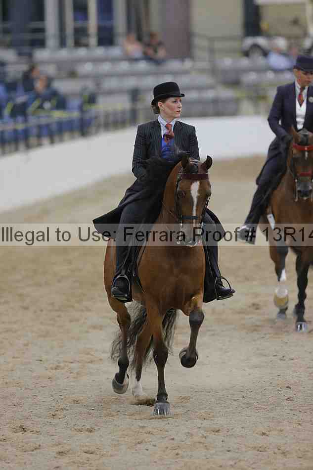 Proof 13r14_3086