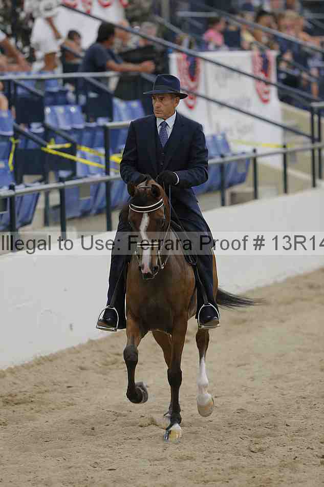 Proof 13r14_3087