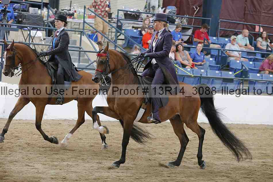 Proof 13r14_3088