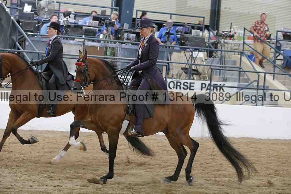 Proof 13r14_3089