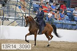 13r14_3090 proof