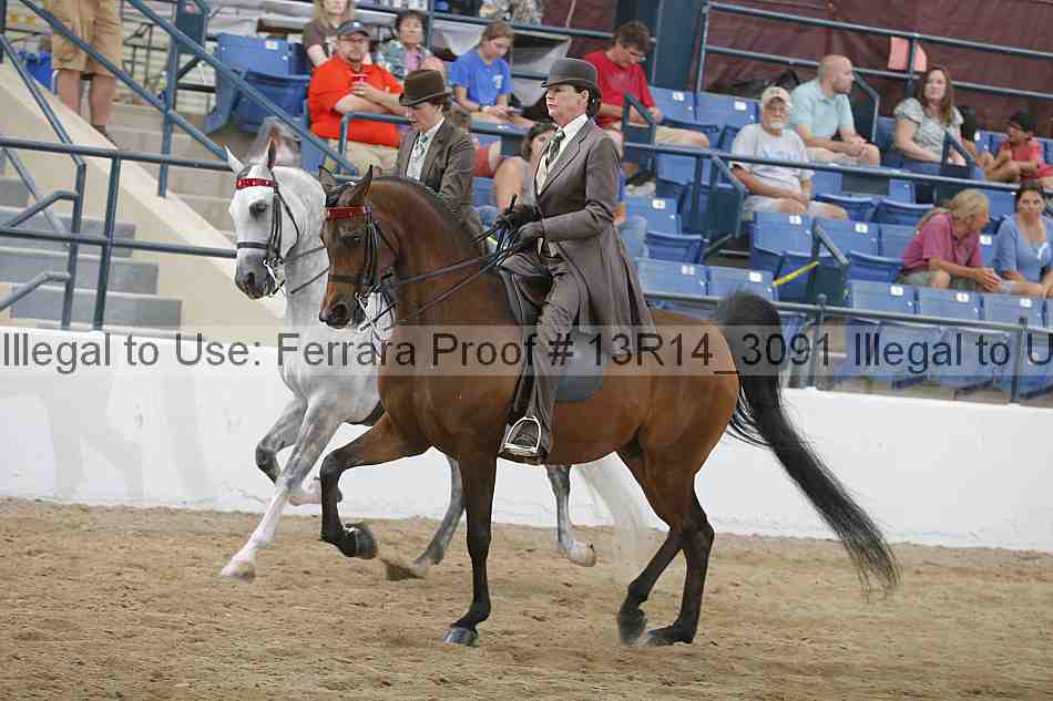 Proof 13r14_3091