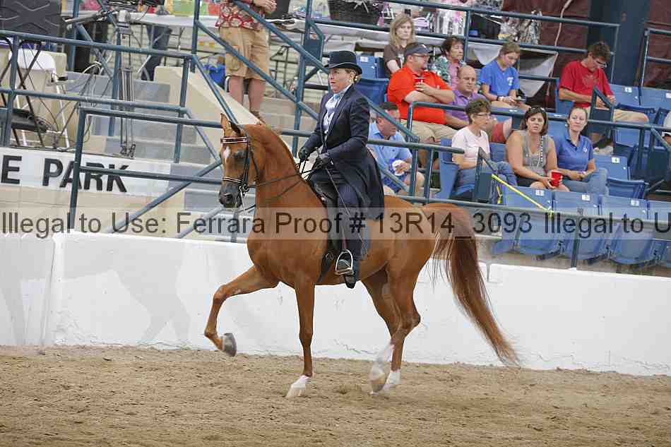 Proof 13r14_3093