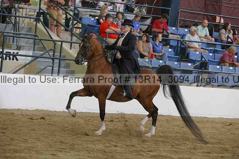 Proof 13r14_3094