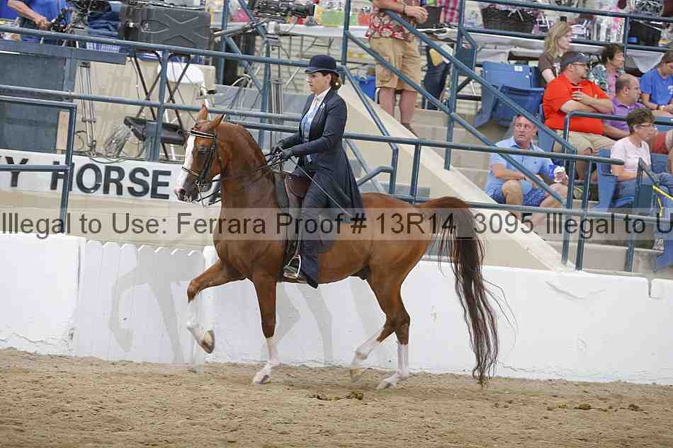 Proof 13r14_3095