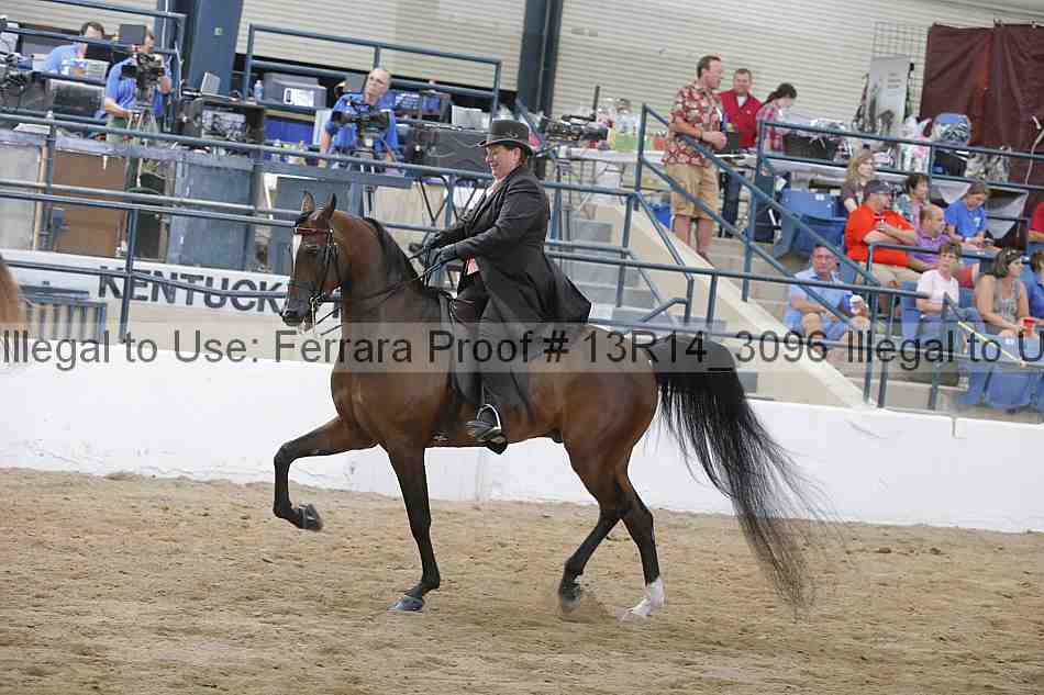 Proof 13r14_3096