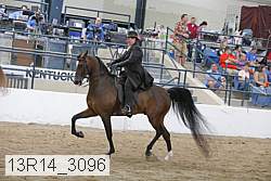 13r14_3096 proof