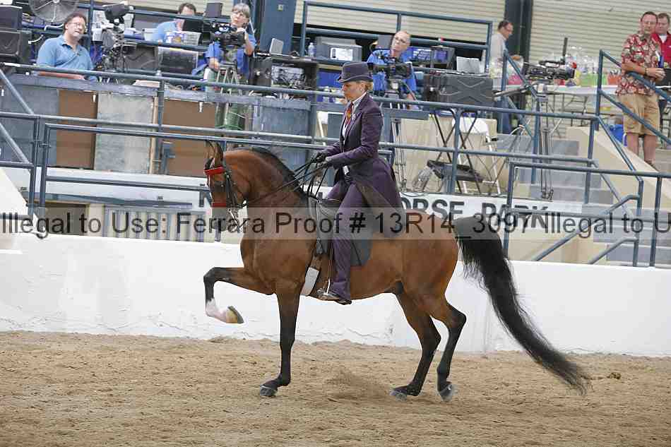 Proof 13r14_3097