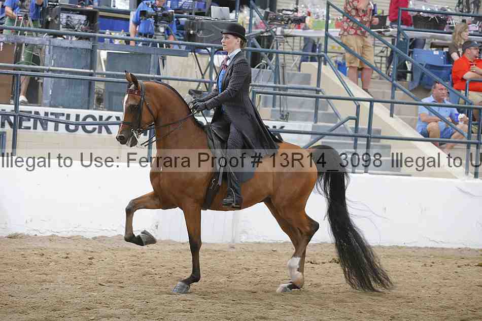 Proof 13r14_3098