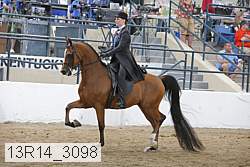 13r14_3098 proof