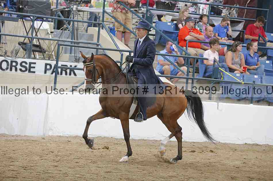 Proof 13r14_3099