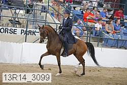 13r14_3099 proof