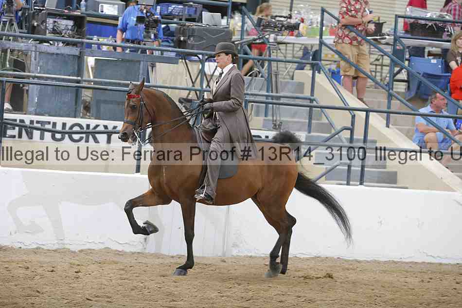Proof 13r14_3100