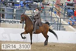 13r14_3100 proof