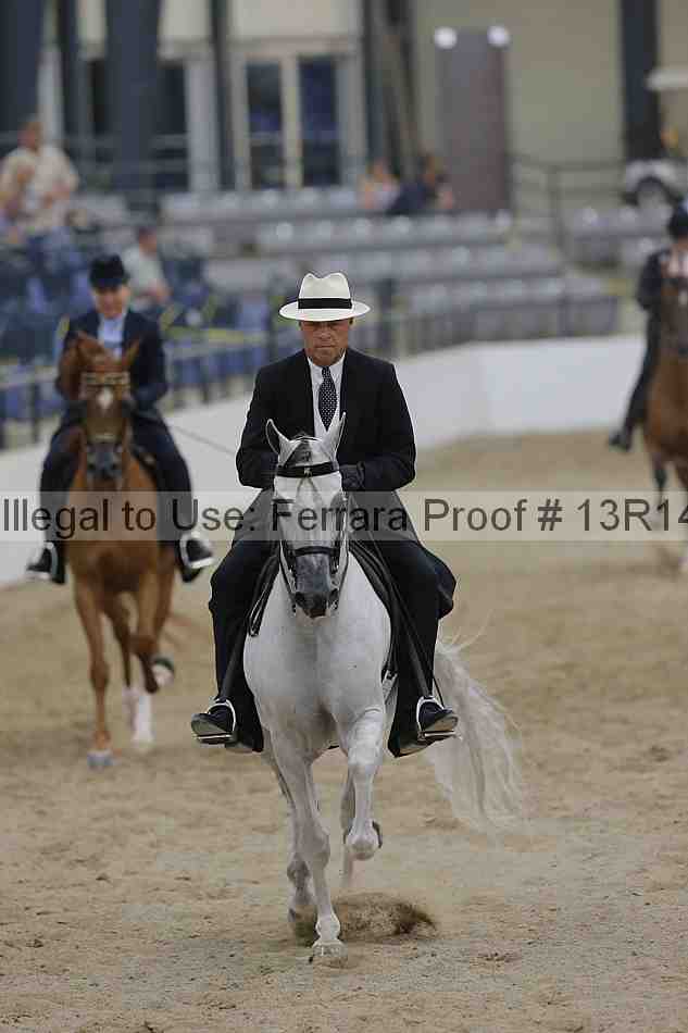 Proof 13r14_3101