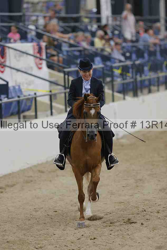 Proof 13r14_3102