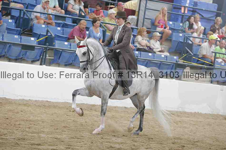 Proof 13r14_3103