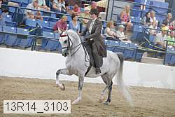 13r14_3103 proof