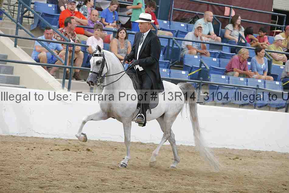 Proof 13r14_3104
