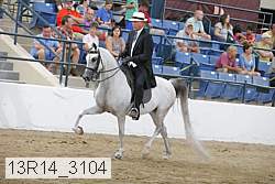 13r14_3104 proof