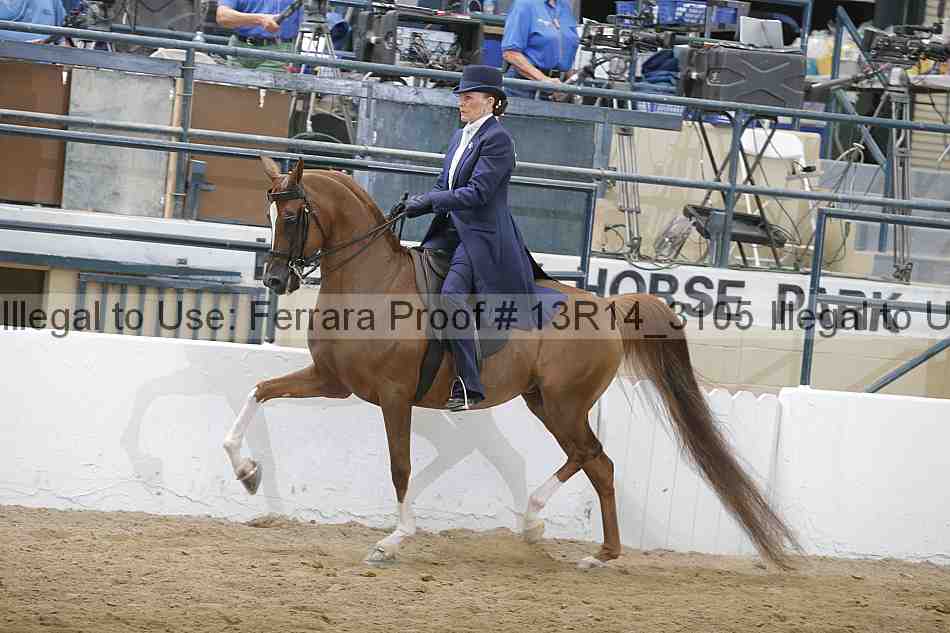 Proof 13r14_3105