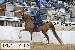 13r14_3105 proof