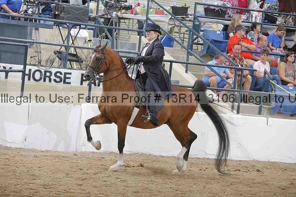 Proof 13r14_3106