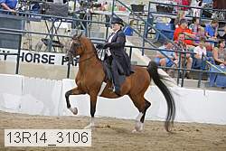 13r14_3106 proof