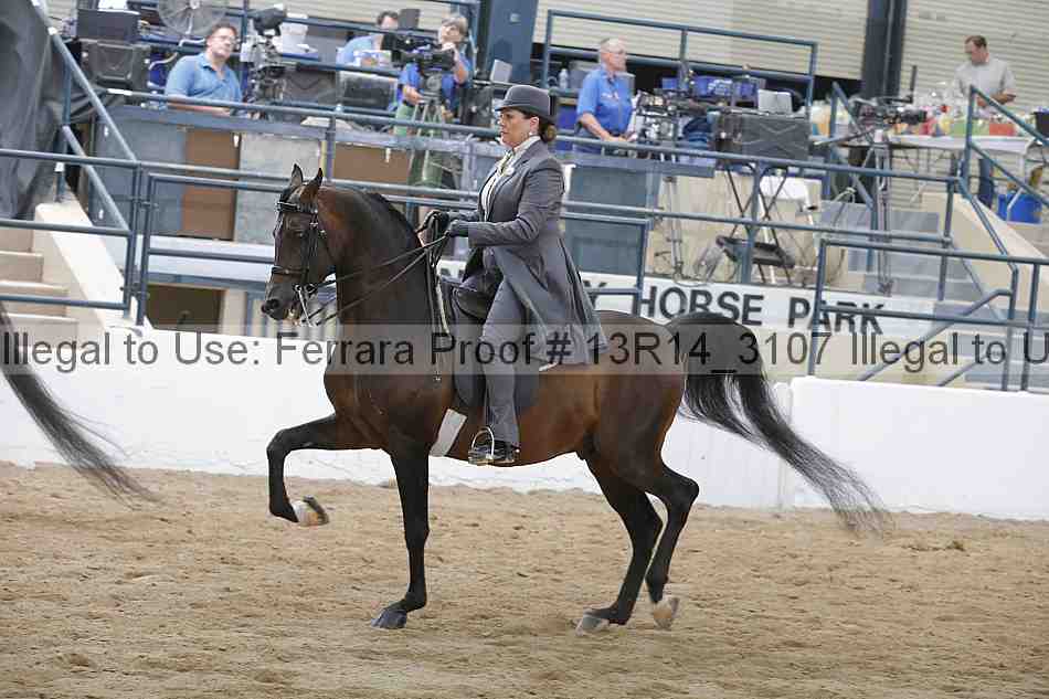 Proof 13r14_3107