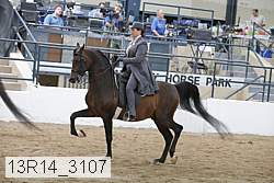 13r14_3107 proof