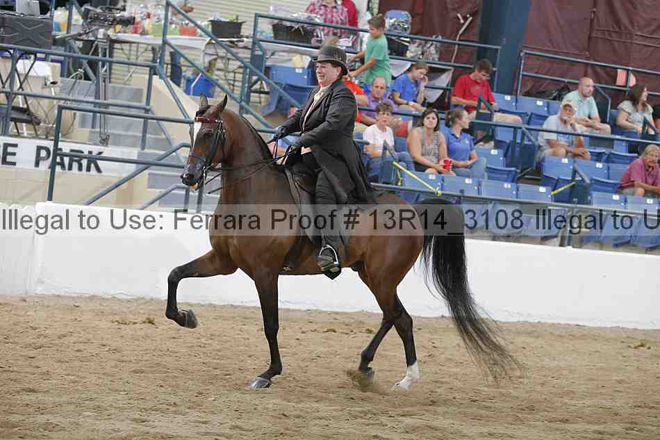 Proof 13r14_3108
