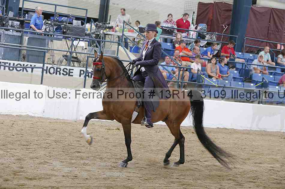 Proof 13r14_3109