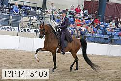 13r14_3109 proof