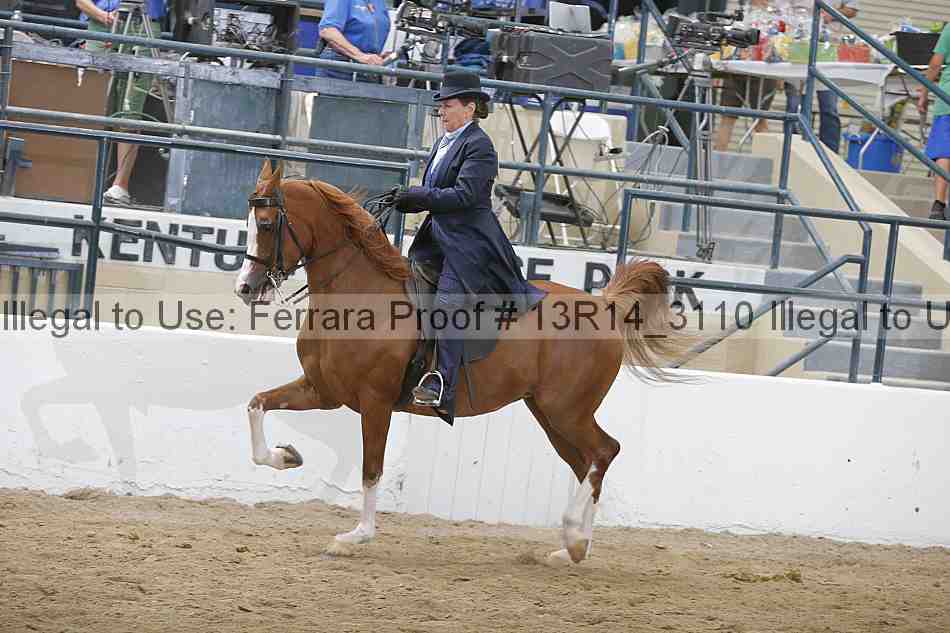 Proof 13r14_3110