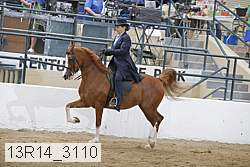13r14_3110 proof