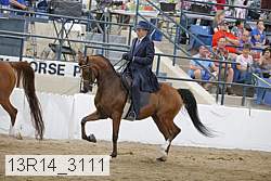 13r14_3111 proof