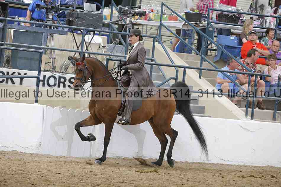Proof 13r14_3113
