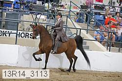 13r14_3113 proof