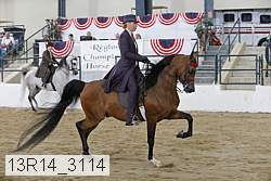 13r14_3114 proof