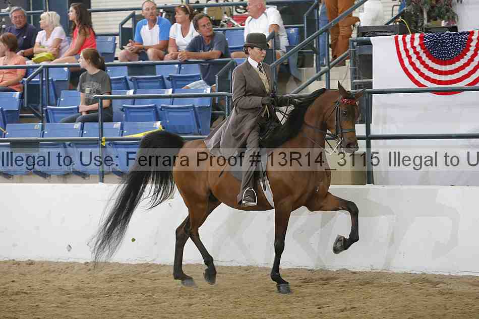 Proof 13r14_3115