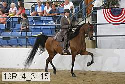 13r14_3115 proof