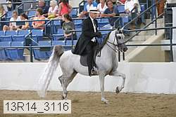 13r14_3116 proof