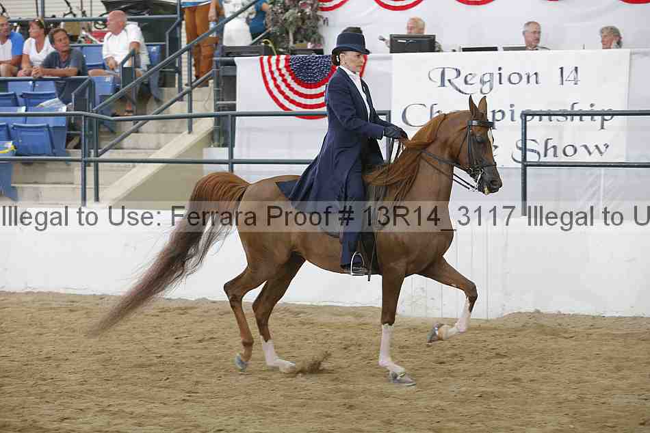 Proof 13r14_3117