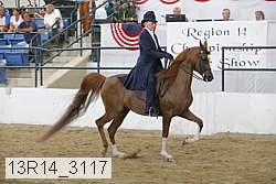 13r14_3117 proof